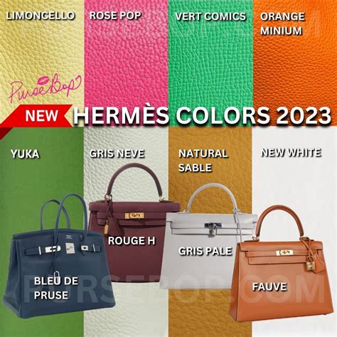 hermes bag 25cm|Hermes bag color chart.